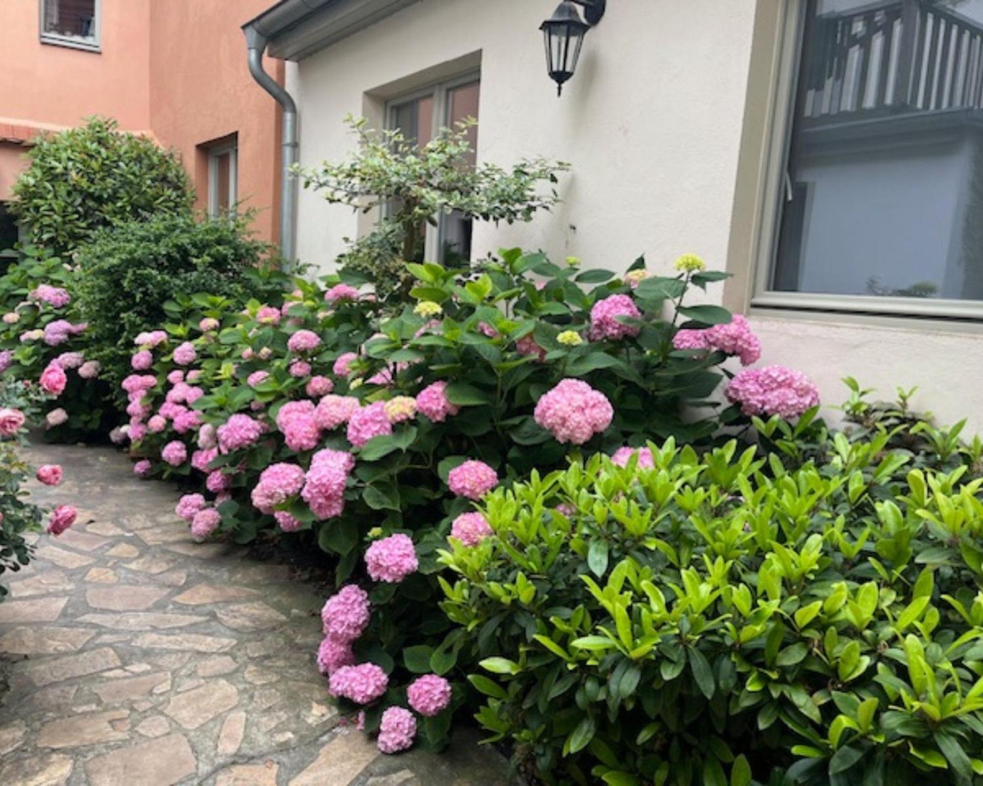 Altstadt-Quartier Stendal Exteriör bild